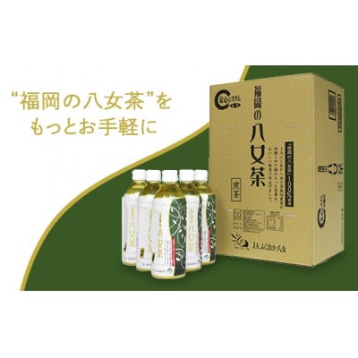 【産地直送】福岡の八女茶 煎茶ペットボトル(500ml×24本)