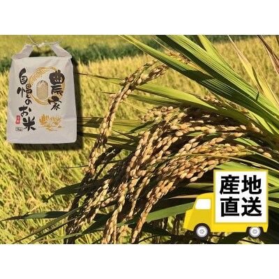 八女産ヒノヒカリ 5kg! 清流矢部川と大地の恵み