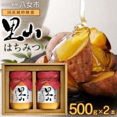 かの蜂の国産里山蜂蜜 純粋蜂蜜(500g&times;2本)セット 八女市