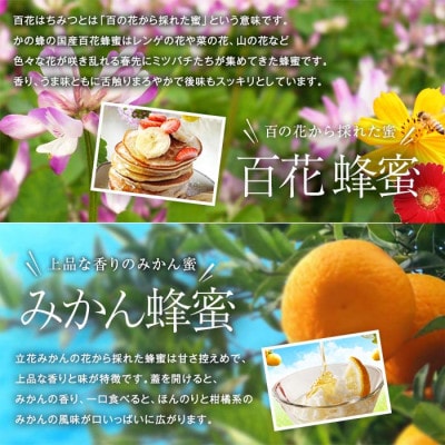 かの蜂の国産蜂蜜 4種セット とんがりポリ容器 2kg(500g×4)