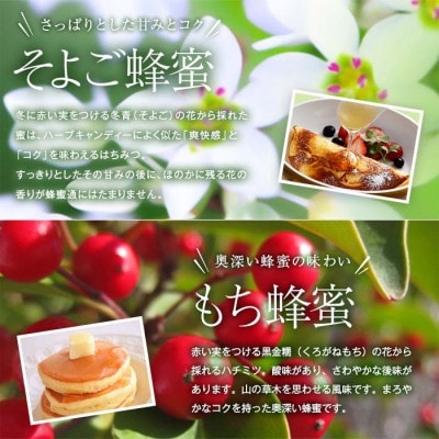 かの蜂の国産蜂蜜 4種セット とんがりポリ容器 2kg(500g×4)