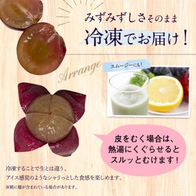 【冷凍】 かの蜂の冷凍フルーツ 種なし巨峰 1.5kg(500g×3袋)