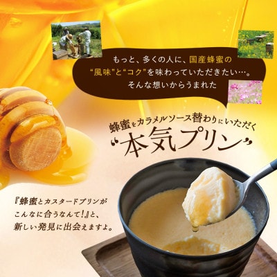 【冷凍】蜂蜜屋の本気プリン 8個セット 八女市産 たまご プリン