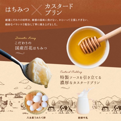 【冷凍】蜂蜜屋の本気プリン 8個セット 八女市産 たまご プリン