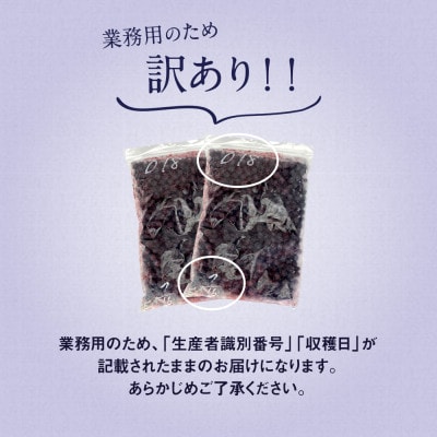 【訳あり】国産冷凍ブルーベリー(2kg[1kg×2袋])八女市産