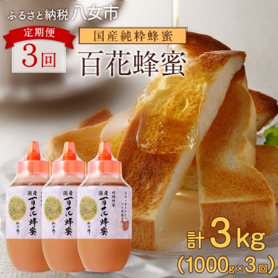【毎月定期便】かの蜂 国産 百花蜂蜜 合計3kg(とんがり容器1kgを毎月1本お届け) 八女市全3回