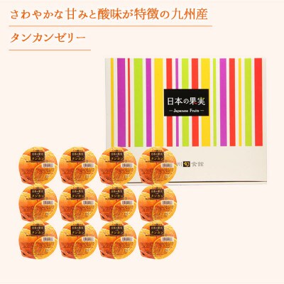 果肉入り タンカンゼリー 12個セット 国産