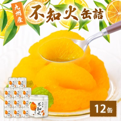不知火 缶詰 12缶セット 国産