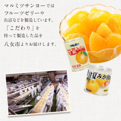 甘夏 みかん 缶詰 24缶 セット (身割れ) 国産 はちみつ入り