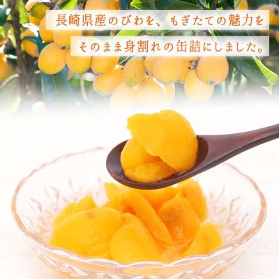 びわ 缶詰 12缶 セット (身割れ) 国産 シラップ漬け
