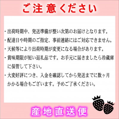 『先行受付』【博多あまおうグランデ270g×4パック】JAふくおか八女より産地直送※2月より順次発送