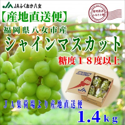 【シャインマスカット350g×4パック】JAふくおか八女より産地直送※9月より順次発送