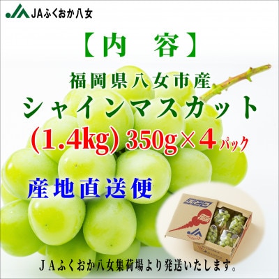 【シャインマスカット350g×4パック】JAふくおか八女より産地直送※9月より順次発送
