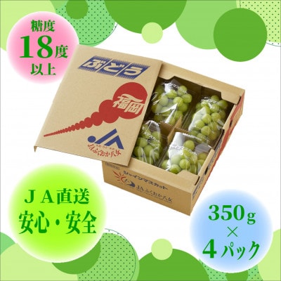 【シャインマスカット350g×4パック】JAふくおか八女より産地直送※9月より順次発送