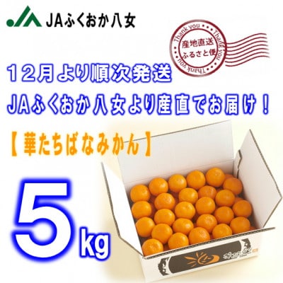 先行受付【福岡県八女市産 華たちばなみかん5kg】JAふくおか八女より産地直送※12月より順次発送
