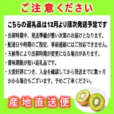 先行受付【博多完熟娘(うれっこ)キウイ3.6kg】JAふくおか八女より産地直送※12月より順次発送