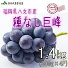 【種なし巨峰350g×4パック】JAふくおか八女より産地直送※7月上旬より順次発送