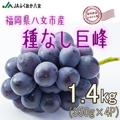 【種なし巨峰350g×4パック】JAふくおか八女より産地直送※7月上旬より順次発送