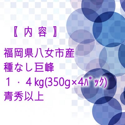 【種なし巨峰350g×4パック】JAふくおか八女より産地直送※7月上旬より順次発送