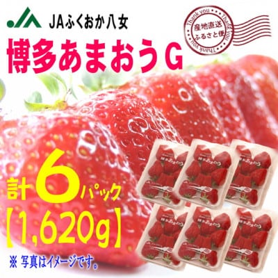 『先行受付』【博多あまおうグランデ270g×6パック】JAふくおか八女より産地直送※2月より順次発送