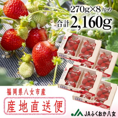 『先行受付』【博多あまおうグランデ270g×8パック】JAふくおか八女より産地直送※2月より順次発送