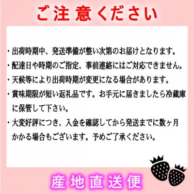 『先行受付』【博多あまおうグランデ270g×8パック】JAふくおか八女より産地直送※2月より順次発送
