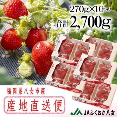 『先行受付』【博多あまおうグランデ270g×10パック】JAふくおか八女より産直便※2月より順次発送