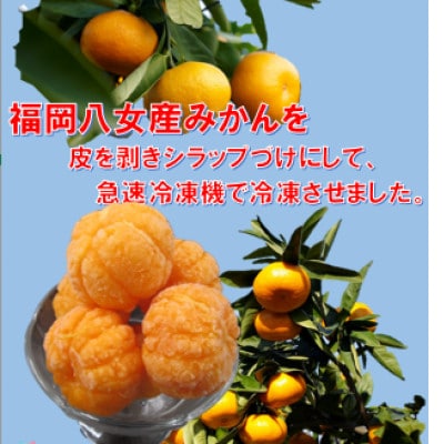 冷凍丸みかんシラップづけ