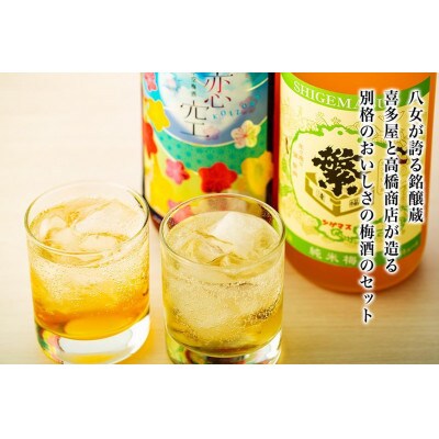 八女のこだわり梅酒セット　各1800ml