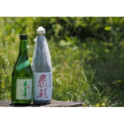 ＜純米大吟醸＞飛形・＜純米吟醸＞吟のさと【720ml】2本セット