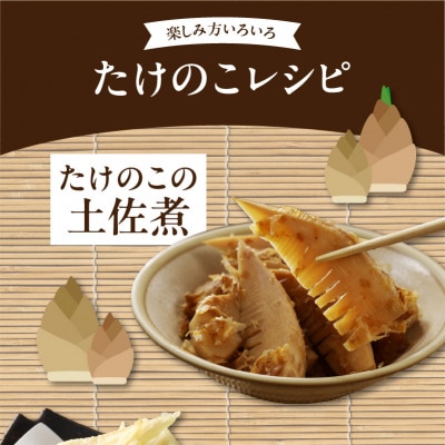 楽天市場】福岡県八女産 たけのこ水煮（2024年新物） 日光
