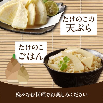 ≪道の駅たちばなオリジナル≫大釜湯がき筍 2kg(2025年4月～発送開始)