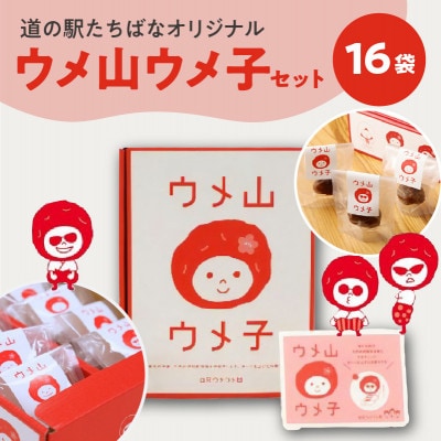 ≪道の駅たちばなオリジナル≫ウメ山ウメ子セット