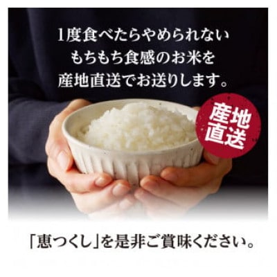 竹炭米5kg×2 (恵つくし)R5年産