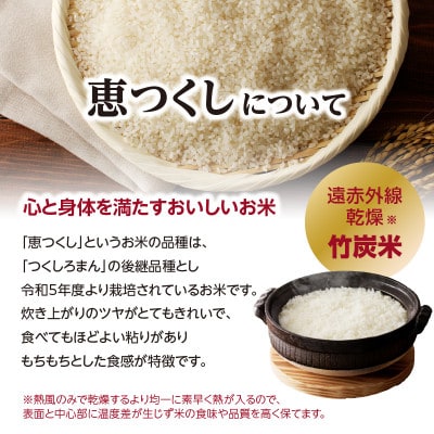 竹炭米5kg×2 (恵つくし)R5年産