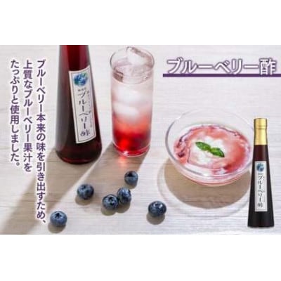 果実酢3本セット(マンゴー、ブルーベリー、ザクロ)