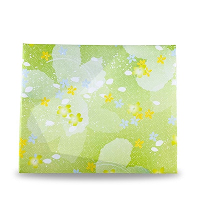 八女茶贅沢2本セット(100g×2袋)