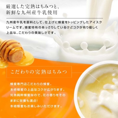 【冷凍】 かの蜂 はちみつアイス 12個 セット (4種 各90ml×3個)