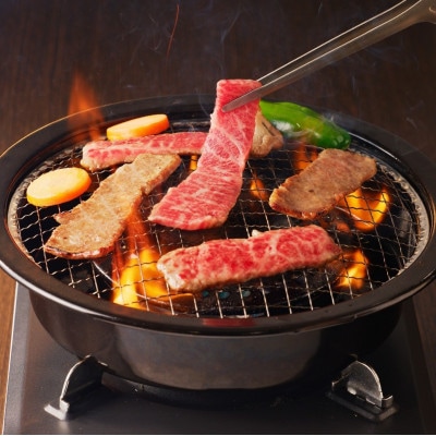 牛肉 《筑後》船小屋牛三角バラ焼肉【500g】【冷凍】(八女市)