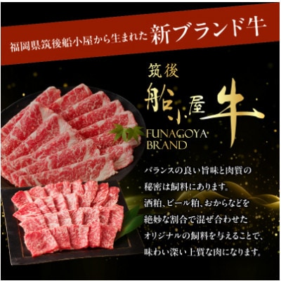 牛肉 《筑後》船小屋牛リブロース焼肉【500g】【冷凍】(八女市)