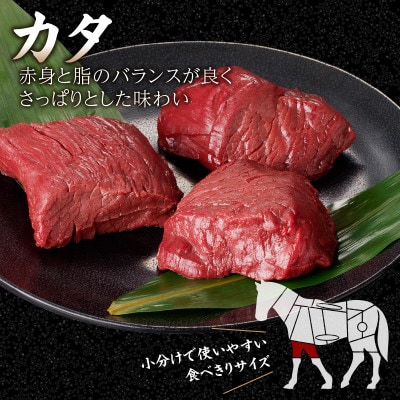 国産赤身馬刺したれ付き【カタ100g×6、モモ100g×4】【冷凍】(八女市) 《福岡肥育》