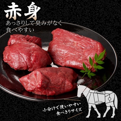 【冷蔵】 新鮮　国産馬刺し たれ付き【赤身】100g×6(八女市) 《福岡肥育》