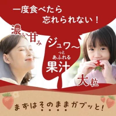【数量限定】福岡県産あまおう(約270g×4パック)【2026年3月発送開始】
