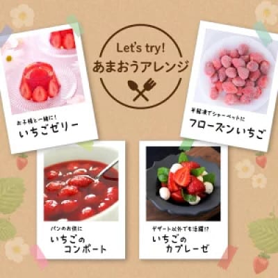 【数量限定】福岡県産あまおう(約270g×4パック)【2026年3月発送開始】