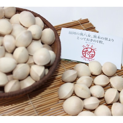 【先行受付】自然の恵みいっぱい。大粒!スケトシ銀杏【2L以上】殻付き(1kg)