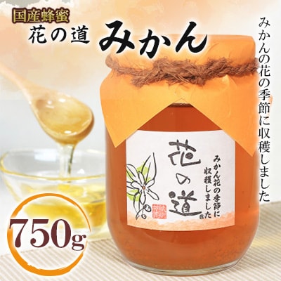 みかん　750g