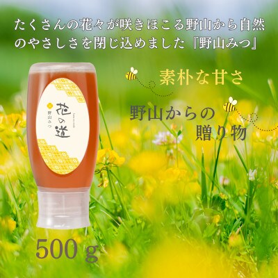 野山みつ　500g