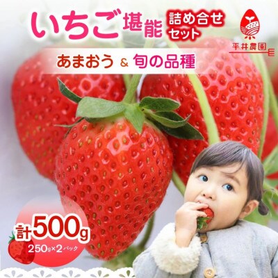 いちご堪能詰め合わせセット 250g×2パック(合計500g)