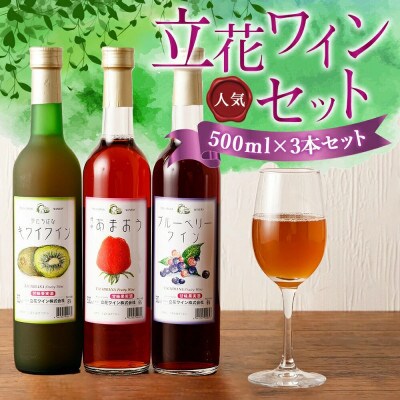 ワイン3本セット【あまおうワイン、キウイワイン、ブルーベリーワイン】