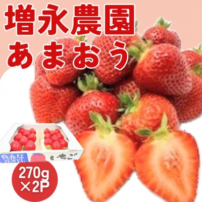 【2026年1月より順次配送】八女・増永農園のあまおう　270g×2パック